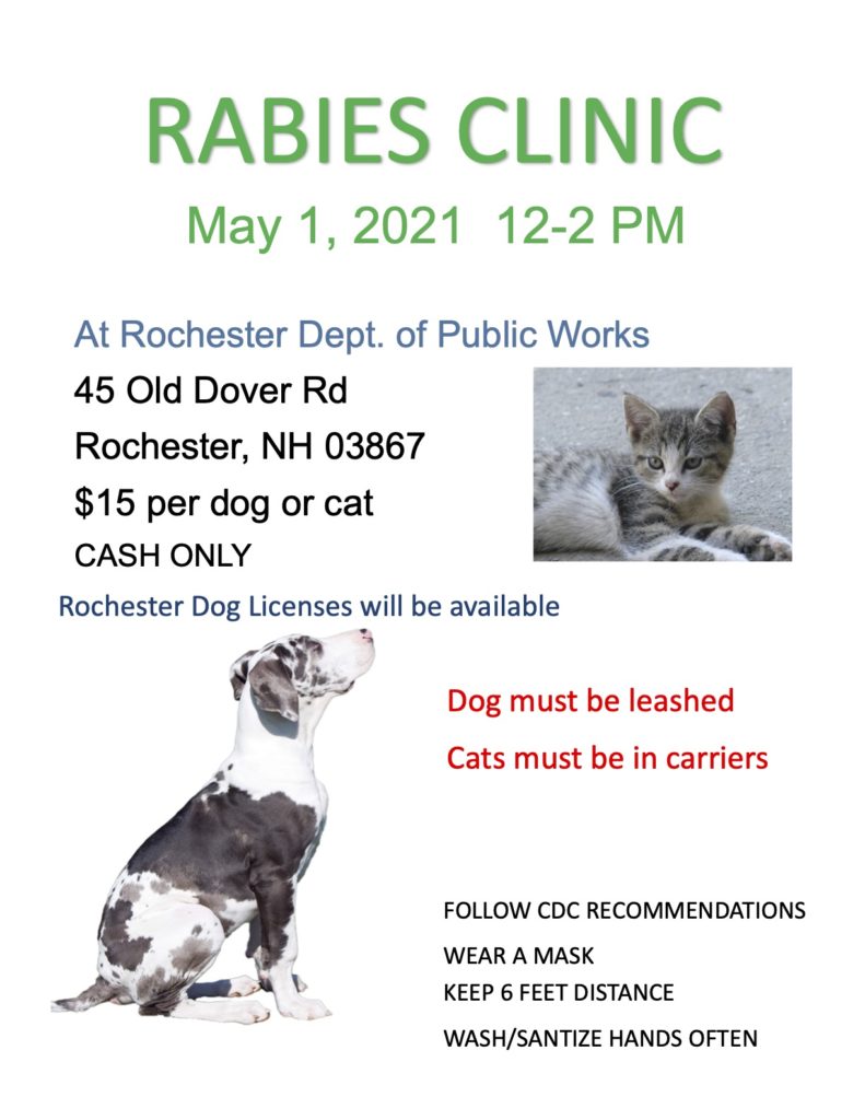Rabies Clinic scheduled for 5/1 (12-2pm) - The Rochester Post