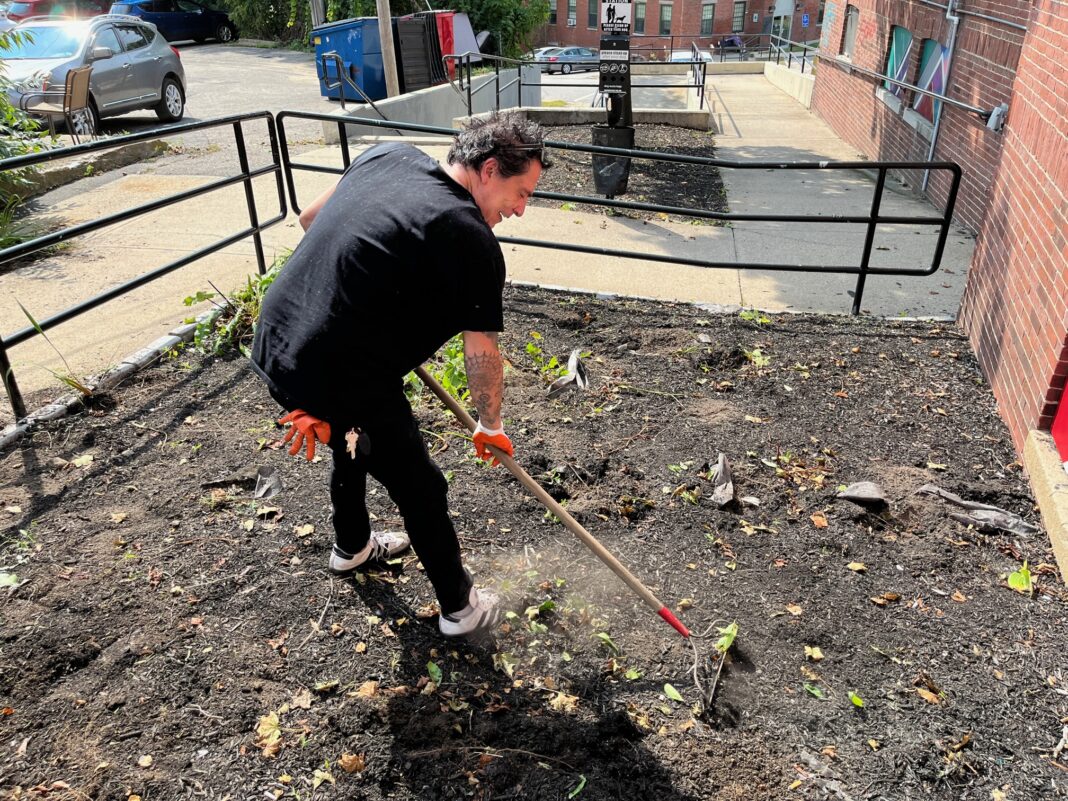 Rochester Main Street Hosts Productive Fall Cleanup And Planting In ...