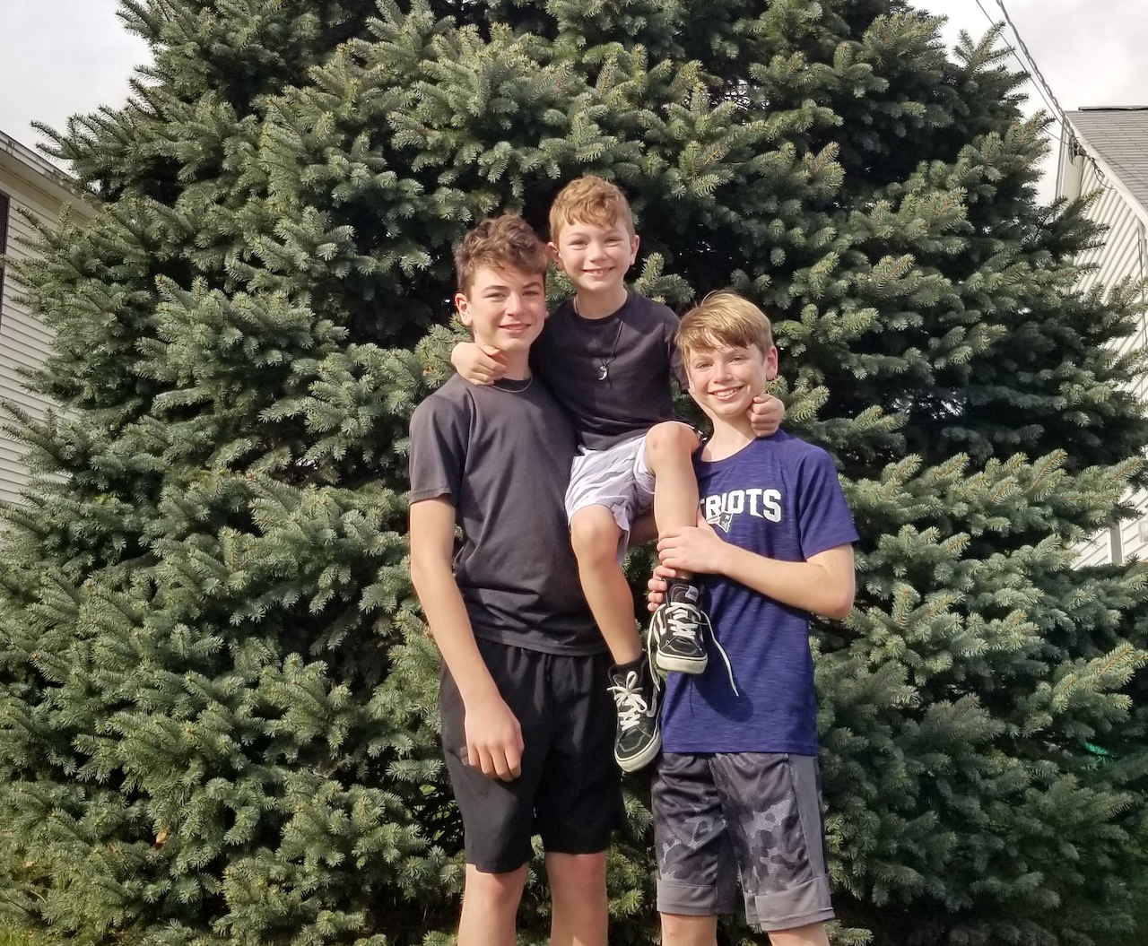 Sbrizza Family donates blue spruce for annual downtown Christmas