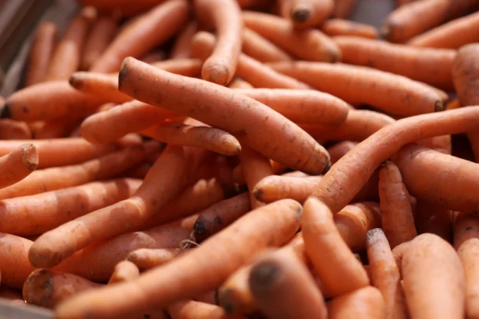 carrots