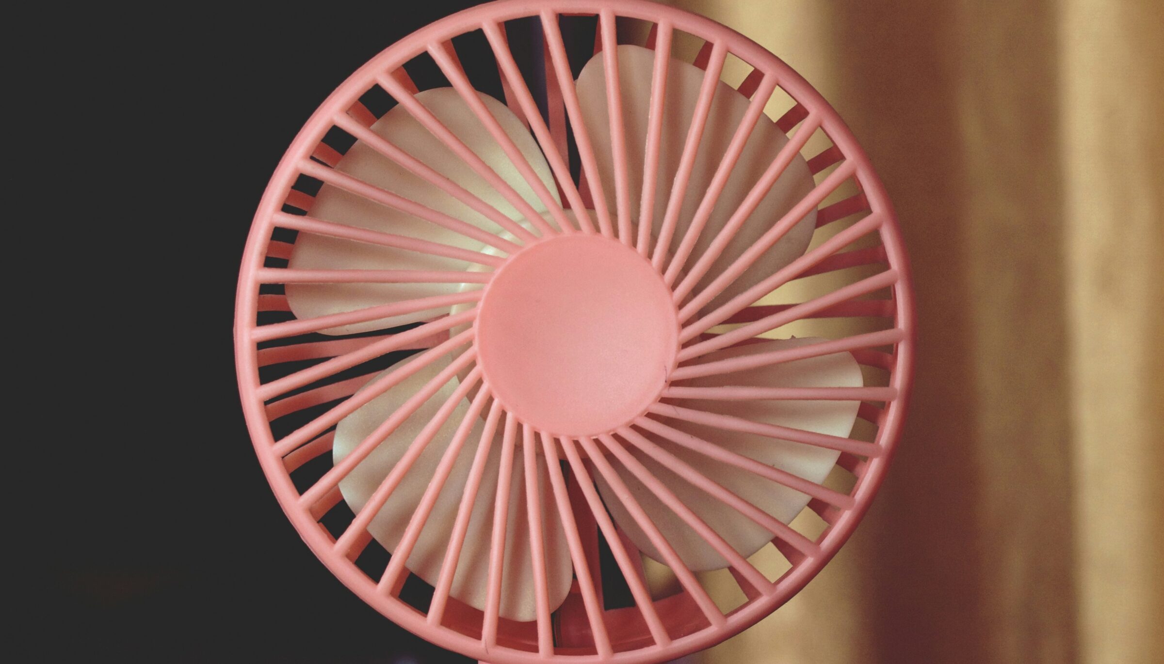 fan